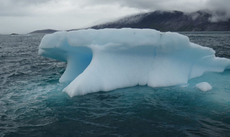 Bootstour in Nuuk