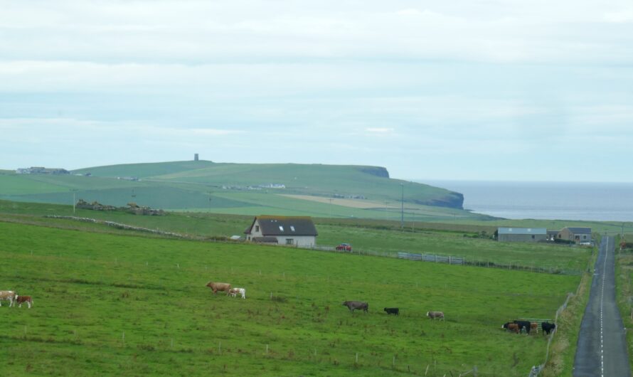 Auf den Orkneys in Kirkwall