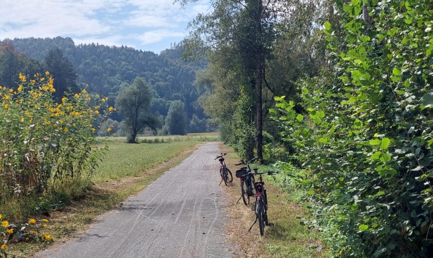 Radfahren an der Mur und der Sulm entlang