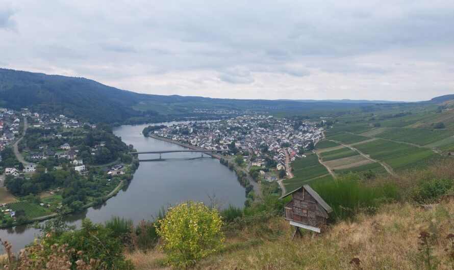 Mosel 3: Trier – Mehring