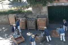 madeira200704_1 248