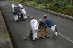 madeira200704_1 322