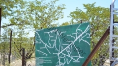 Namibia - Etosha NP