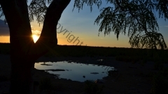 Namibia - Etosha NP